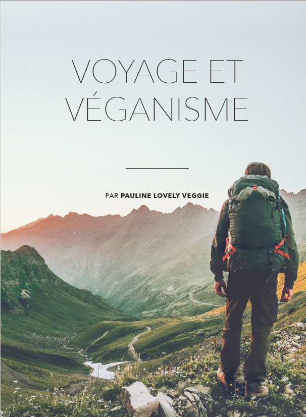 Voyage et Vegan