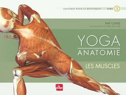 Yoga anatomie : Les muscles