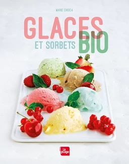 Glaces et sorbets bio - NED