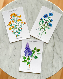 Lot de 3 cartes - Fleurs